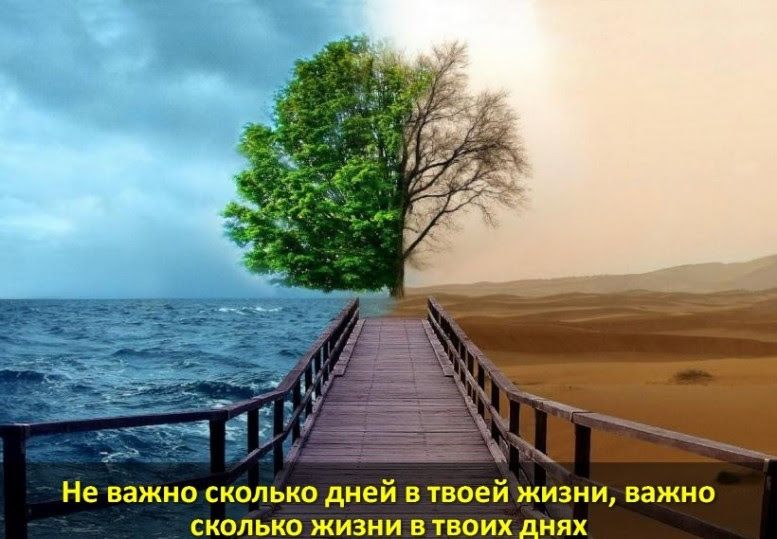 Не важно сколько дней в твоей жизни важно сколько жизни в твоих днях