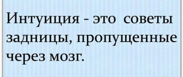Интуиция это советы задницы пропущенные через мозг