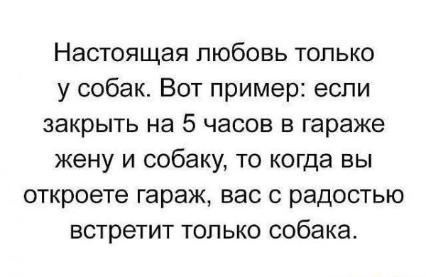 Настоящая любовь только у собак Вот пример если закрыть на 5 часов в гараже жену и собаку то когда вы откроете гараж вас с радостью встретит только собака