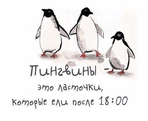 ПыНгдЁыНЫЁд Это АёстоЧКш КоМоеЫс еАы посс 1800