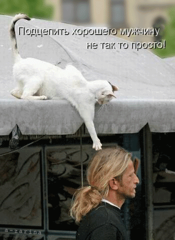 ПСДЦ питьорт тутгг нет Ю проч