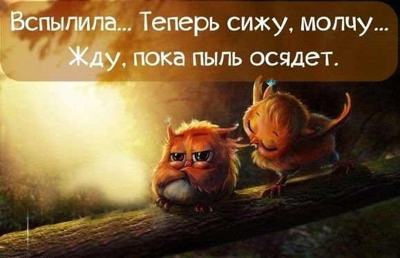 Вспы па Теперь сижу молчу пока пыпь осядет