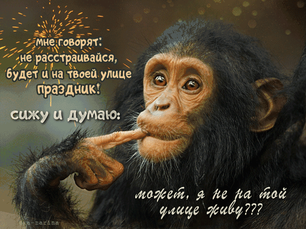 мне говорят не расстраивайся