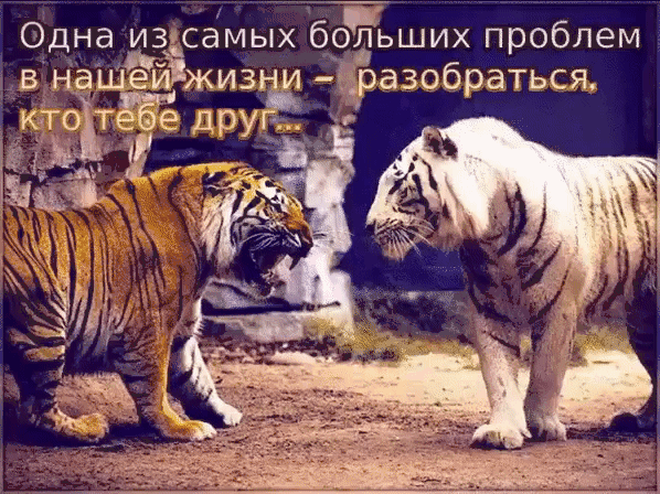 Одна из самых больших проблем разобраться