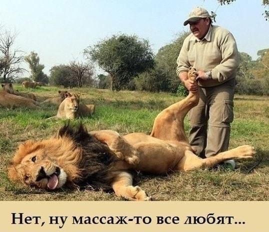 Нет ну массаж 0 все любят