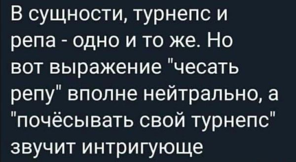 В сущности турнепс и репа одно и то же Но вот выражение чесать репу вполне нейтрально а почёсывать свой турнепс звучит интригующе