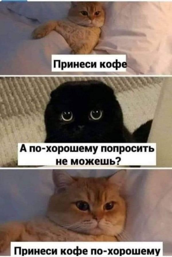 по хорошему попросить не можешь о еёі Принеси кофе ПОХОРОШЕМУ
