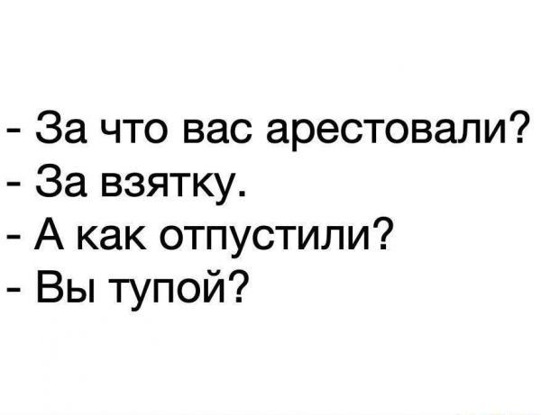За что вас арестовали За взятку А как отпустили Вы тупой