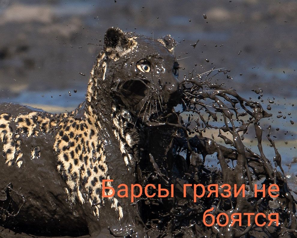 _арсы грязи не боятся