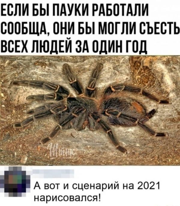 Если вы пдуки РАБОТАЛИ сопБЩА он_и вы могли съест всЕхлюдЕиздодинол _ _ ЁЗЁ _Ё А вот и сценарий на 2021 нарисовался