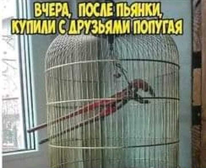 П вчера,  после' пбянки 9дде