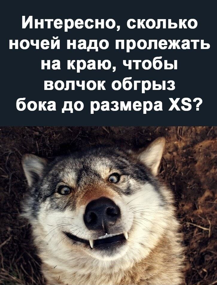 Интересно сколько ночей надо пролежать на краю чтобы волчок обгрыз бока до размера ХЗ