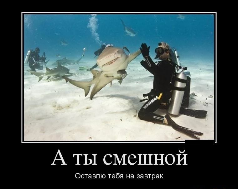 А ТЫ смешной Оставпю тебя на завтрак