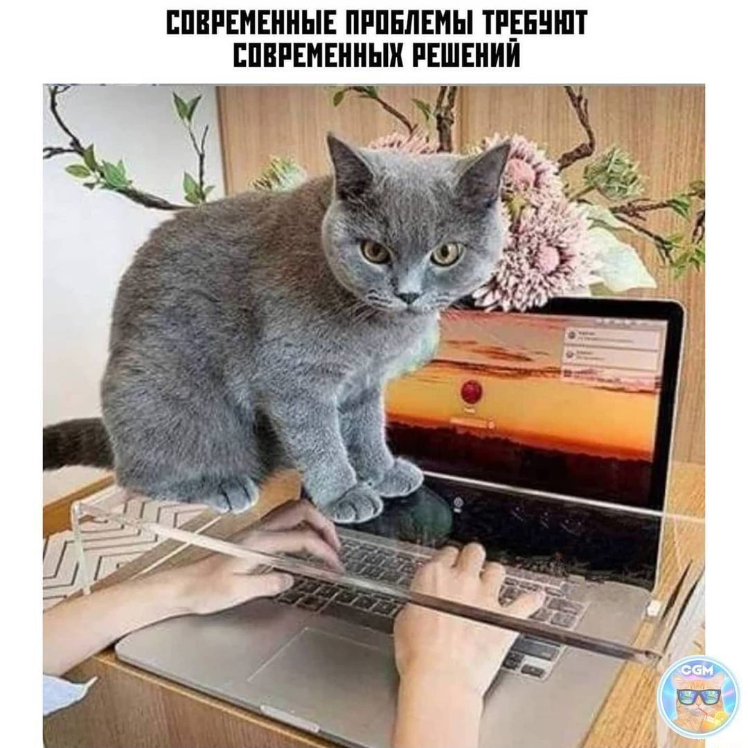 ЕПВРЕМЕННЫЕ ПРПЕЛЕИЫ ТРЕЕНШТ ШЕРЕМЕННЬШ РЕШЕНИЙ