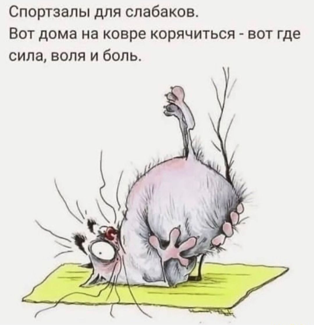 Спортзалы для слабаков Вот дома на ковре корячиться вот где сила воля и боль