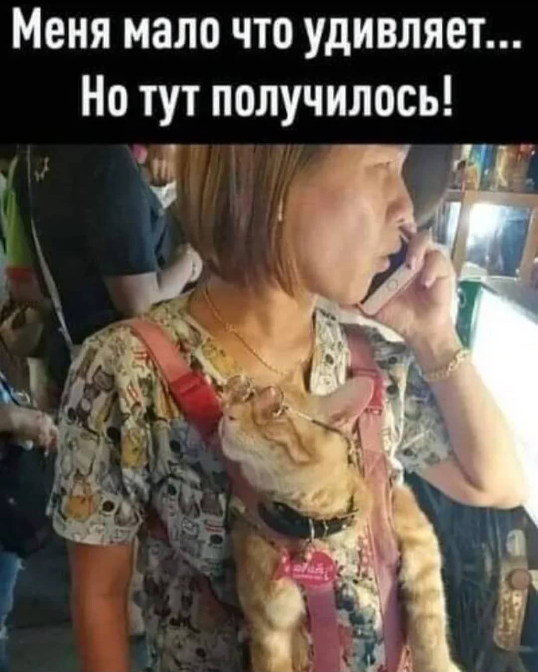 Меня мало что удивляет Но тут получилось