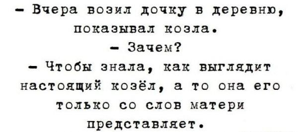 Вчера возил дочку в деревню показывал козла Зачем Чтобы знала как выглядит настоящий козёл а то она его только со слов матери представляет