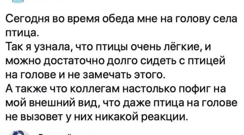 Сегодня во время обеда мне на голову села птица Так я узнала что птицы очень лёгкие и можно достаточно долго сидеть с птицей на голове и не замечать этого А также что коллегам настолько пофиг на мой внешний вид что даже птица на голове не вызовет у них никакой реакции _
