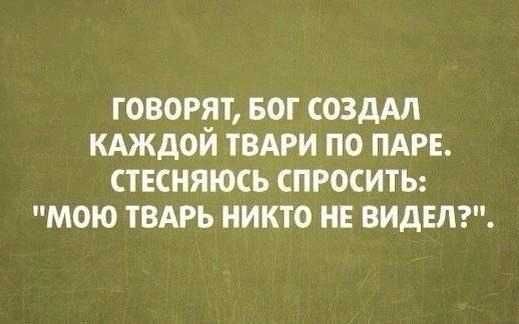 ГОВОРЯТ БОТ СОЗДАЛ КАЖДОЙ ТВАРИ ПО ПАРЕ СТЕСНЯЮСЬ СПРОСИТЬ МОЮ ТВАРЬ НИКТО НЕ ВИДЕЛ