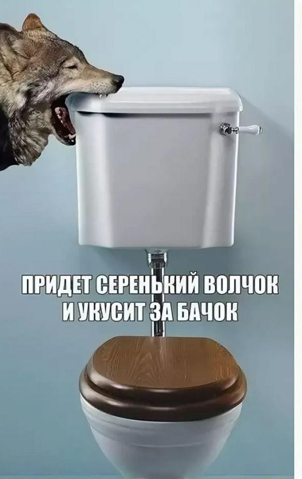 Ренький волчок  иукуситза бачок