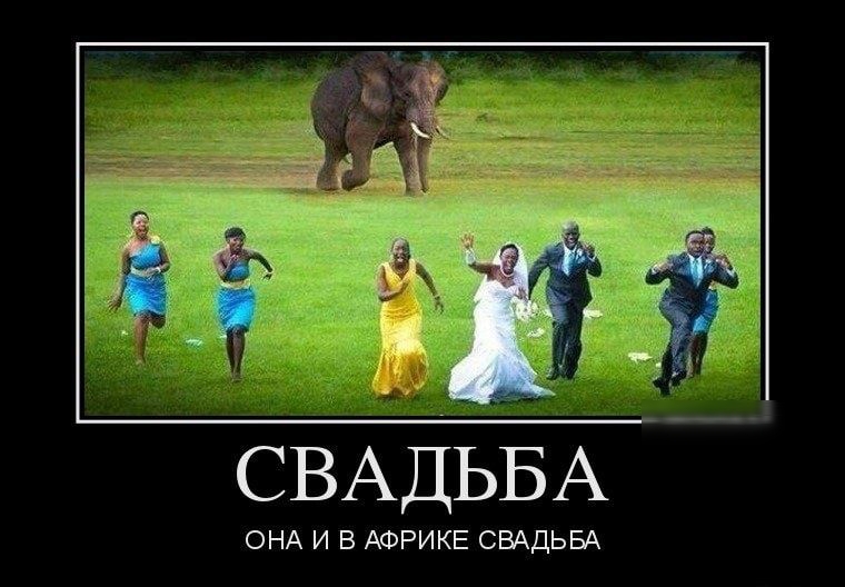 СВАДЬБА ОНА И В АФРИКЕ СВАДЬБА