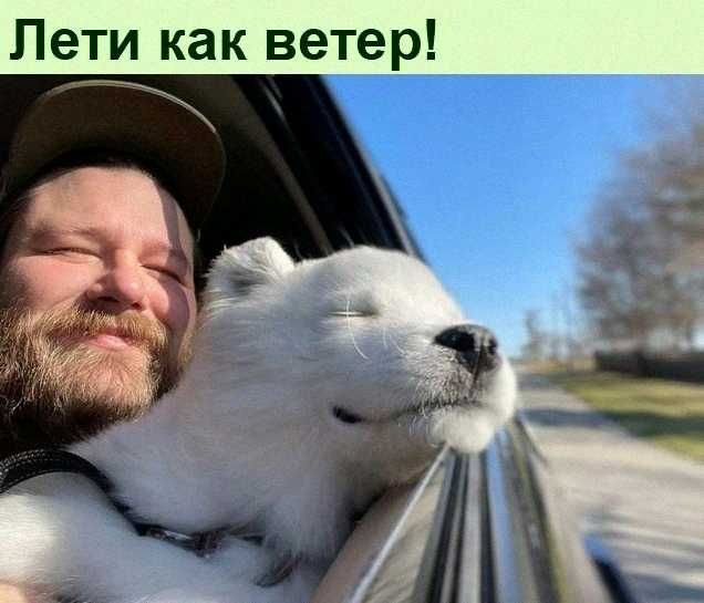 Лети как ветер _