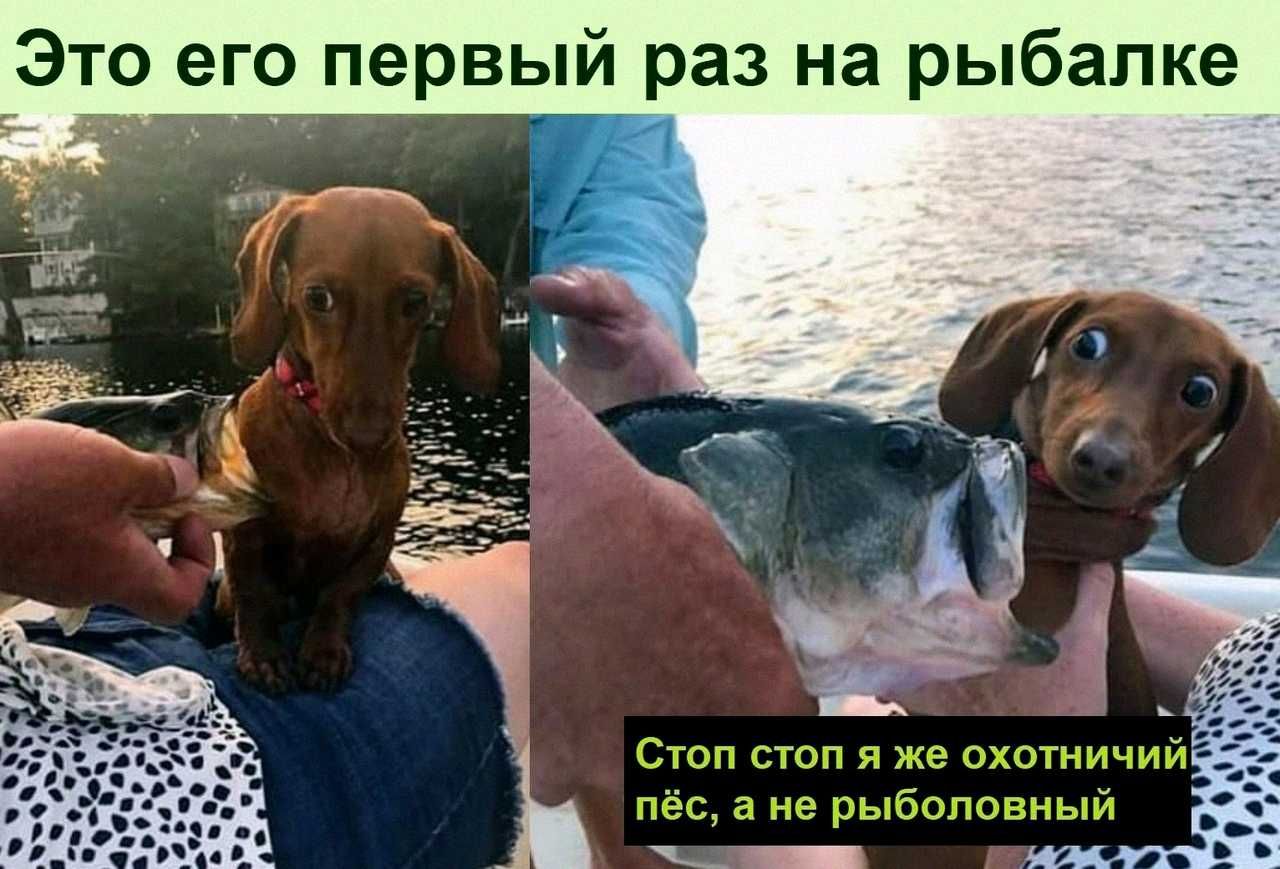 балке ы р а Н 3 а р и Ь_ В 0 е_ од г е 0 т Э