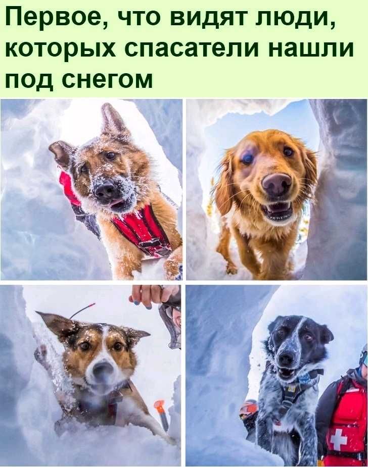 Первое что видят люди которых спасатели нашли под снегом