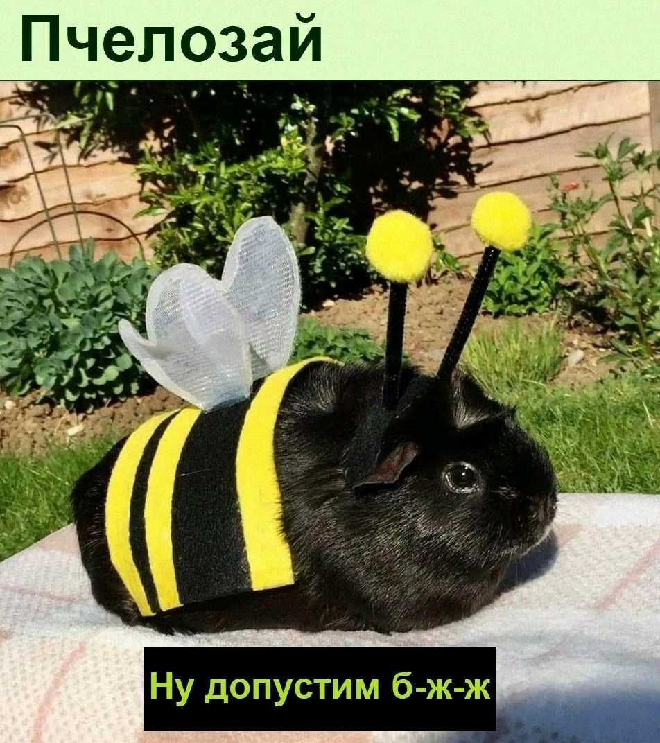 Пчепозай