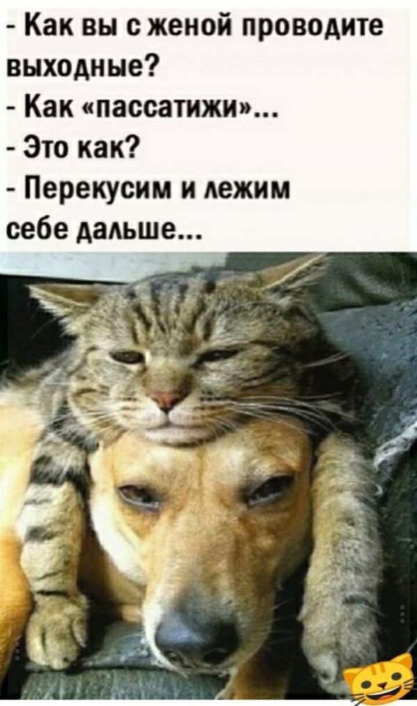 Как вы с женой проводите выходные Как пассатижи Это как Перекусим и лежим себе дадьше