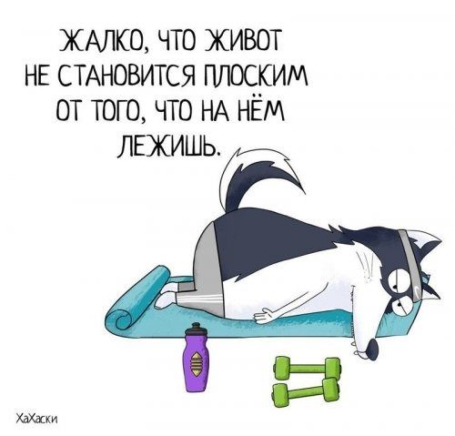 ЖАЛКО что живот нв СТАНОВИТСЯ плоским от того что НА НЁМ ЛЕЖИШЬ