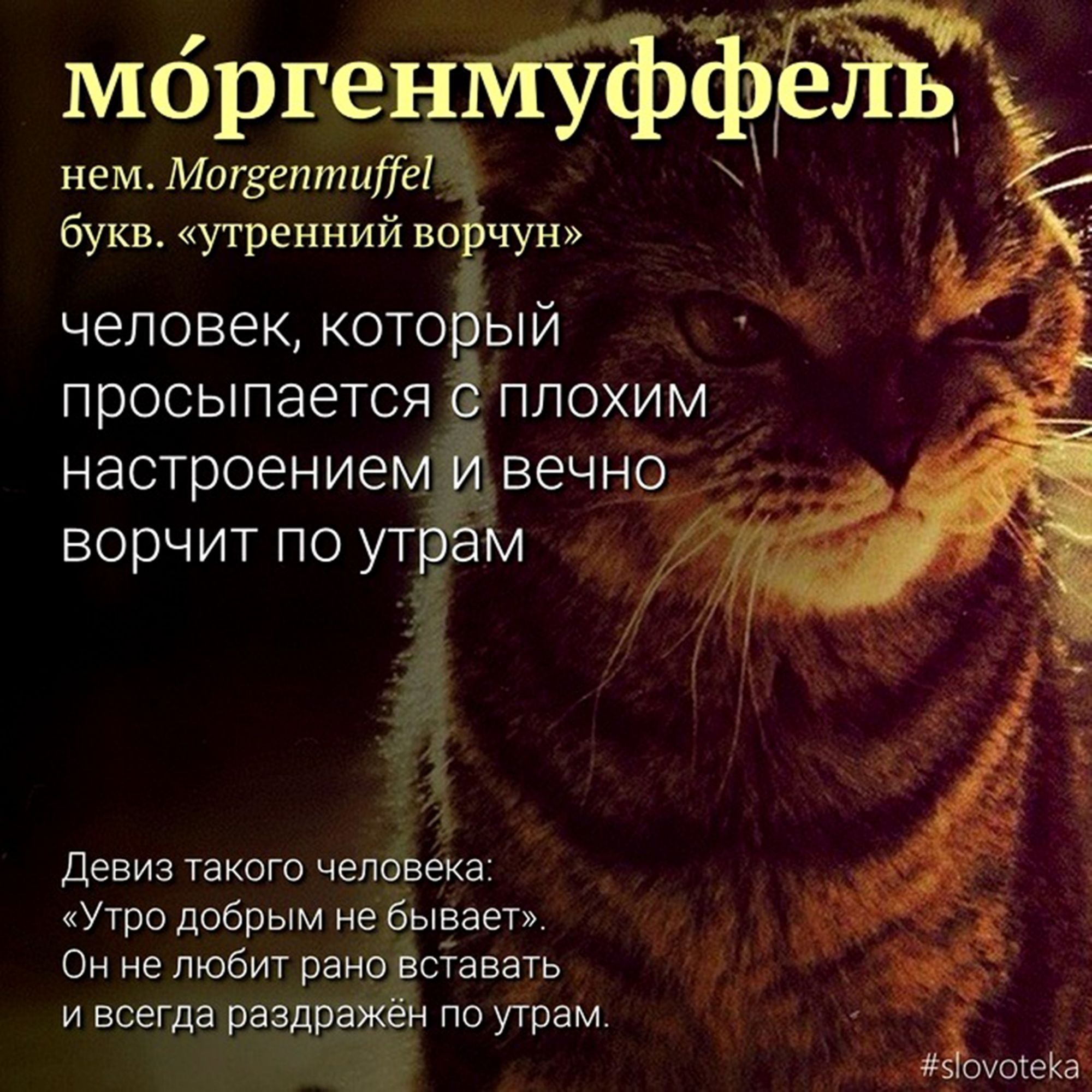 нем Могзептиііеі букв утренний ворчун человек который просыпается с плохим _ настроением и вечно _ ворчит по утрам Девиз такого человека Утро добрым не бывает Он не любит рано вставать и всегда раздражён по утрам _ охосекаъ