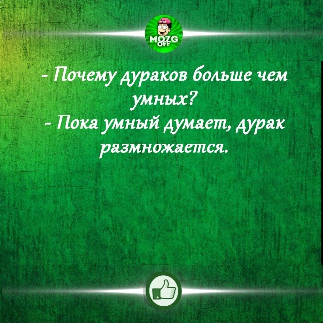 нёс ___ почему дураков больше чем умных Пока умный думает дурак размножается