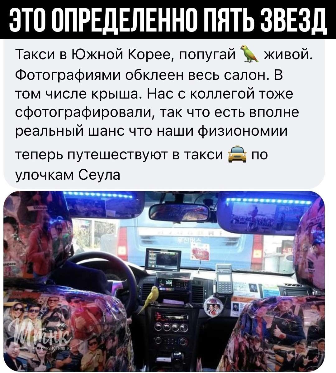 ЭТП ОПРЕДЕЛЕННО ПЯТЬ ЗВЕЗД Такси в Южной Корее попугай живой Фотографиями обклеен весь салон В том числе крыша Нас с коллегой тоже сфотографировали так что есть вполне реальный шанс что наши физиономии теперь путешествуют в такси по улочкам Сеула