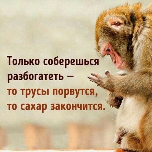 Только соберешься разбогатеть то трусы порвутся то сахар закончится