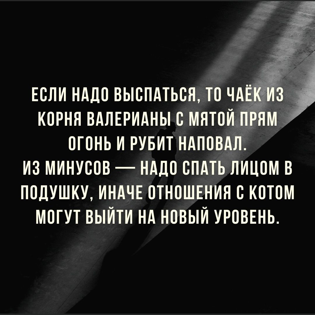 ЕОЛИ НАДО ВЫОПАТЬОЯ ТО ЧАЁ ЁдГЗ 5 КОРНЯ ВАЛЕРИАНЫ О МЯТОИ ПРЯМ ОГОНЬ И РУБИТ НАПОВАЛ ИЗ МИНУООВ НАДО ОПАТЬ ЛИЦОМ В ПОДУШКУ ИНАЧЕ ОТНОШЕНИЯ О КОТОМ МОГУТ ВЫЙТИ НА НОВЫЙ УРОВЕНЬ
