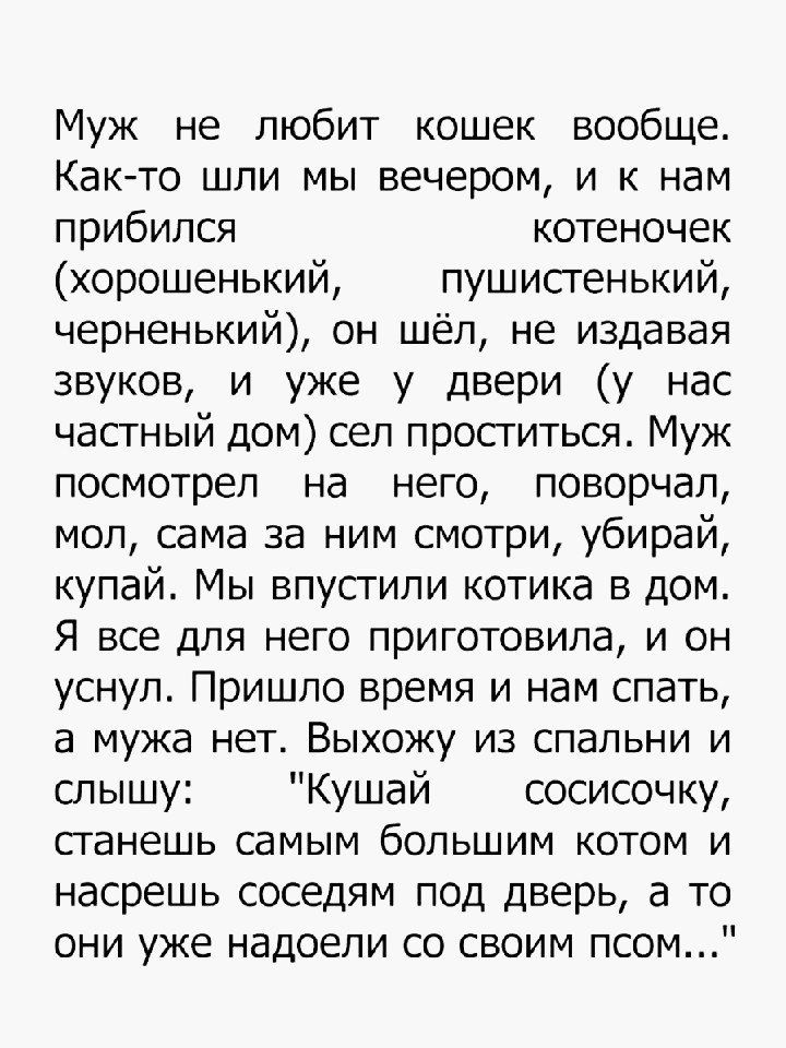 Муж не любит кошек вообще Как то шли мы вечером и к нам прибился котеночек хорошенький пушистенький черненький он шёл не издавая звуков и уже у двери у нас частный дом сел проститься Муж посмотрел на него поворчал мол сама за ним смотри убирай купай Мы впустили котика в дом Я все для него приготовила и он уснул Пришло время и нам спать а мужа нет Выхожу из спальни и слышу Кушай сосисочку станешь с