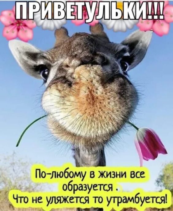Полюбому в жизни все _ образуется 1 Что н удяжется то угршёуетш