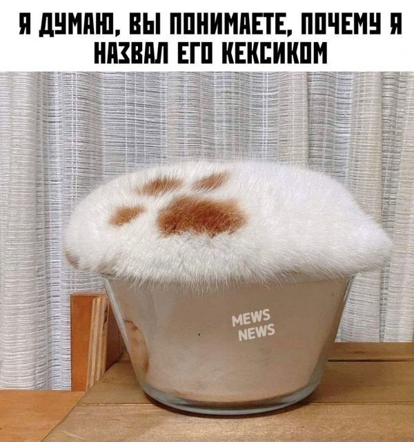 П дНИПШ ВЫ ППНИНПЕТЕ ППЧЕМН П ШШШ ЕГП КЕКППШМ