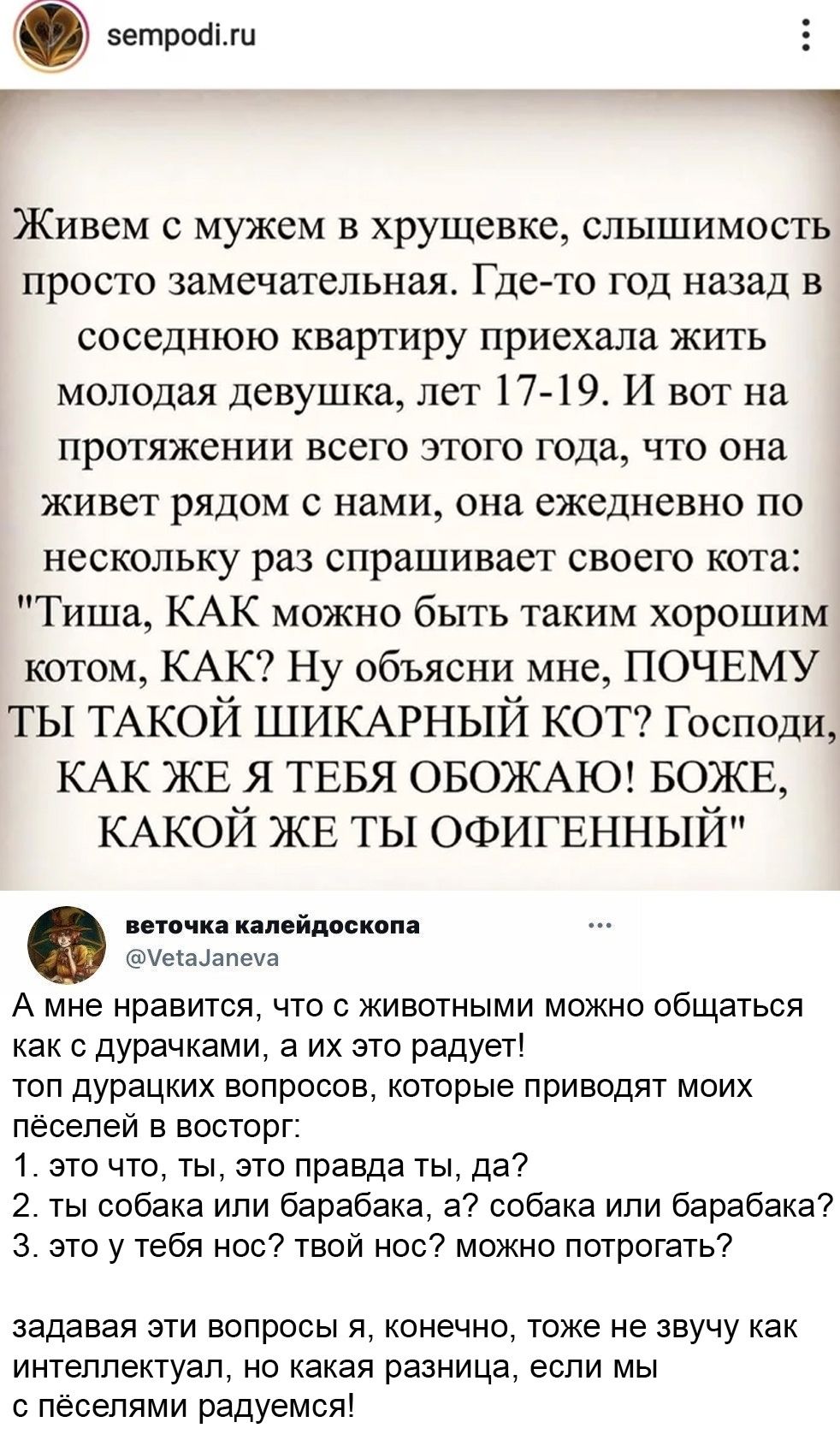 зетройіш Е Г Живем с мужем в хрущевке слышимость просто замечательная Где то год назад в соседнюю квартиру приехала жить молодая девушка лет 1719 И вот на протяжении всего этого года что она живет рядом с нами она ежедневно по нескольку раз спрашивает своего кота Тиша КАК можно быть таким хорошим котом КАК Ну Объясни мне ПОЧЕМУ ты ТАКОЙ ШИКАРНЫЙ КОТ Господи КАК ЖЕ Я ТЕБЯ ОБОЖАЮ БОЖЕ КАКОЙ ЖЕ ТЫ ОФ
