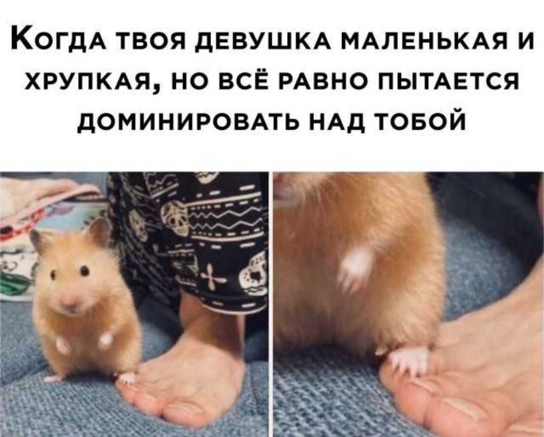 КОГДА ТВОЯ дЕВУШКА МАЛЕНЬКАЯ И ХРУПКАЯ НО ВСЁ РАВНО ПЫТАЕТСЯ дОМИНИРОВАТЬ НАД ТОБОЙ