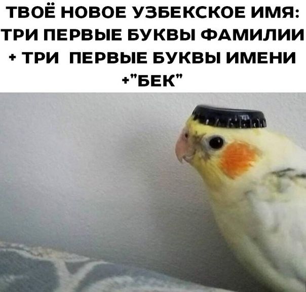 твоё новов узввксков имя три пврвыв БУКВЫ ФАМИЛИИ три пврвыв БУКВЫ имвни БЕК