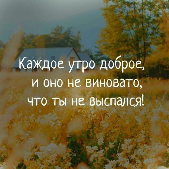 Каждое утро доброе и оно не виновато что ты не выспался