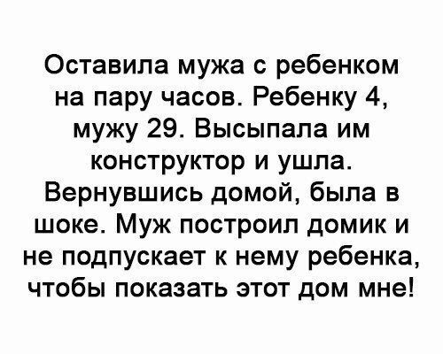 Оставила мужа с ребенком на пару часов Ребенку 4 мужу 29 Высыпапа им конструктор и ушла Вернувшись домой была в шоке Муж построил домик и не подпускает к нему ребенка чтобы показать этот дом мне