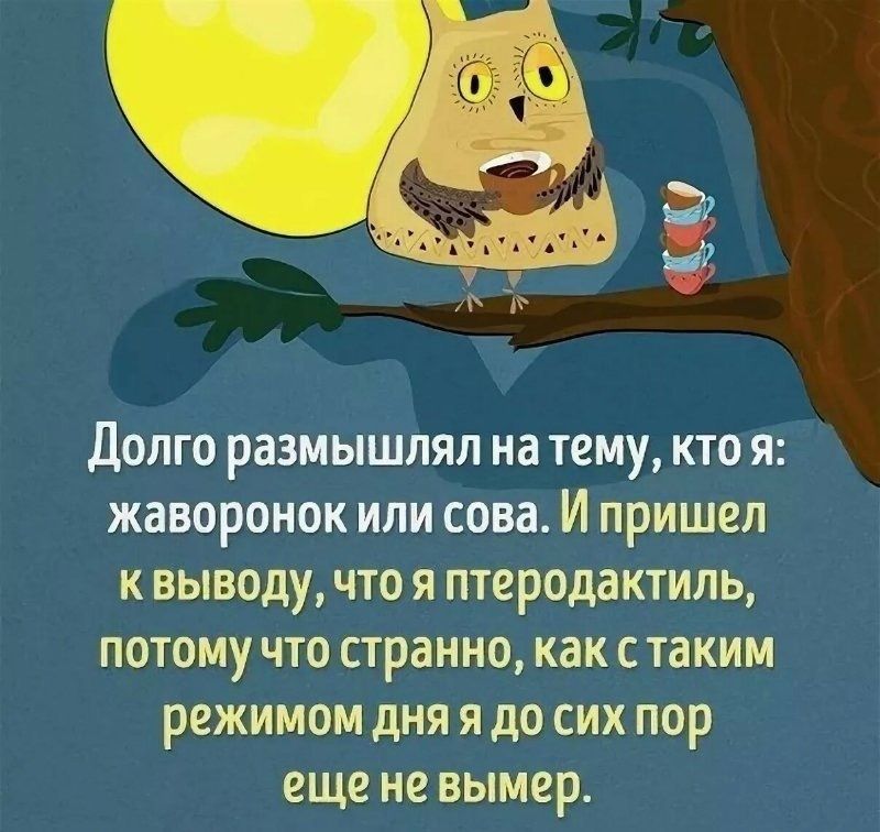 Долго размышлял иш таму кто я жаворонок или сова И и щит тщчтвсшю шитл жилищ юр шипир