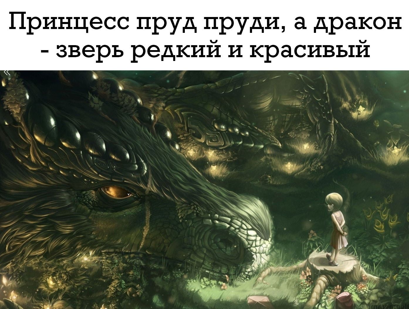 Принцесс пруд пруди дракон зверь редкий и красивый _ аш _ ч Ъ Ф _ _