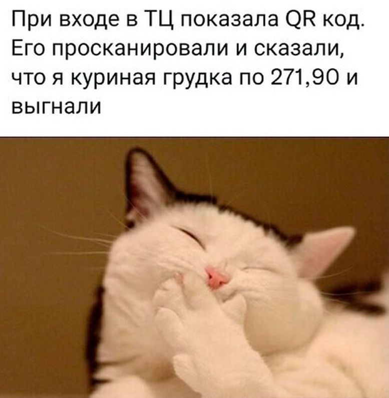 При входе в ТЦ показала ОР код Его просканировали и сказали что я куриная грудка по 27190 и выгнали
