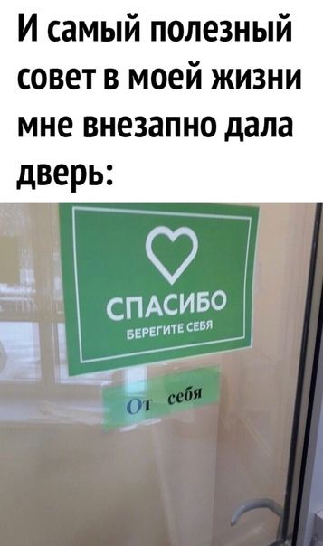 И самый полезный совет в моей жизни мне внезапно дала