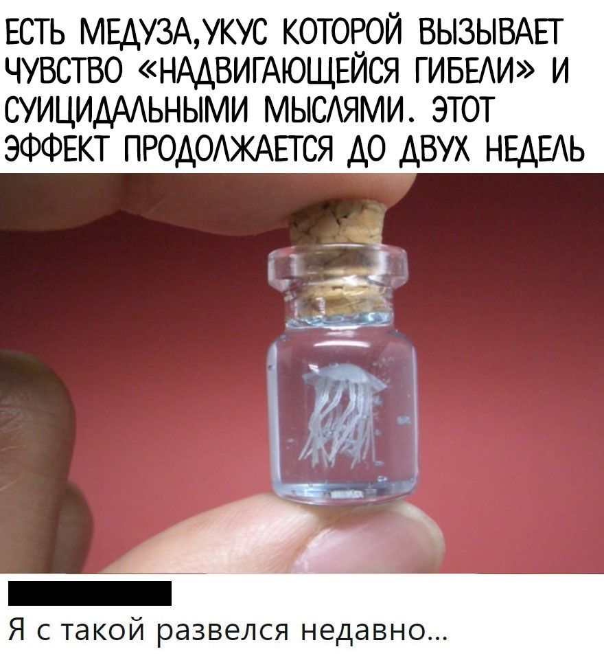 ЕСТЬ МЕДУ3АУКУС которой ВЫЗЫВАЕГ чувство НААВИГАЮЩЕЙСЯ ГИБЕАИ и СУИЦИДАЬНЫМИ мыеями этот ЭФФЕКТ ПРОДОЖАЕТСЯ до двух НЕДЕАЬ Я С такой РЭЗВЭЛСЯ НддВНО