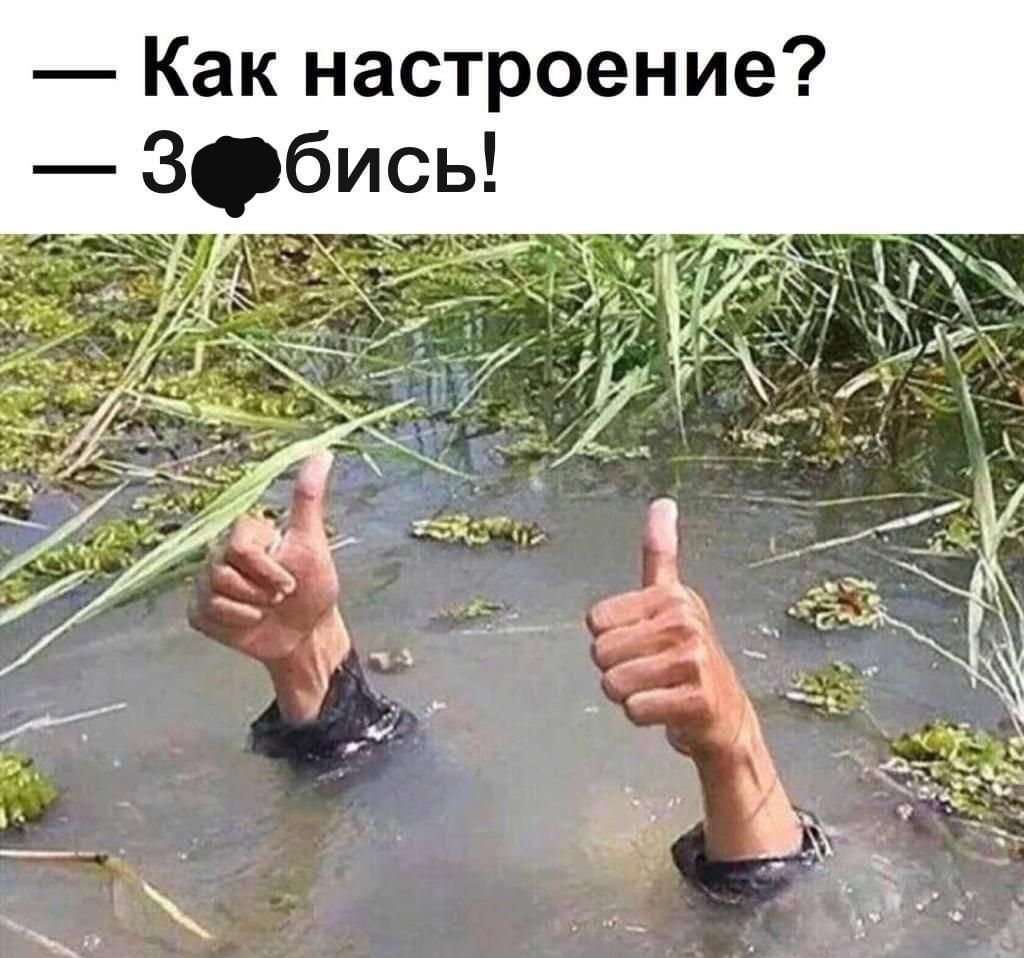 Как настроение Збись
